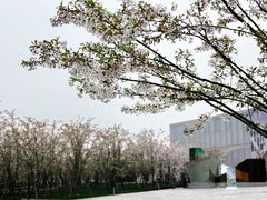 -龙美术馆(西岸馆)