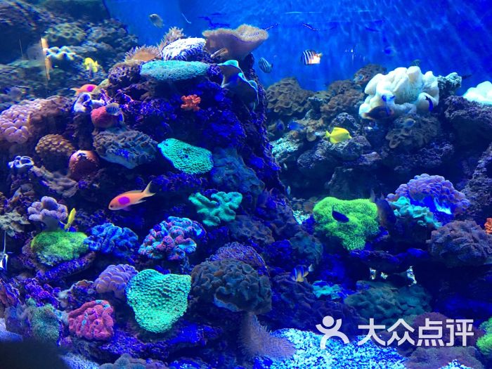 海滨城浩海立方海洋馆图片 - 第3张