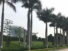 -五通灯塔公园