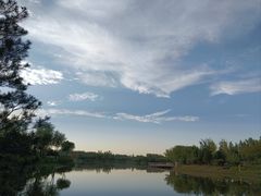 -东郊湿地公园