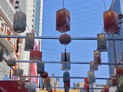 -越秀西湖花市(广州城市广场花卉店)