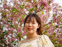 -天适樱花悠乐园