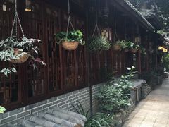 -泡桐树街