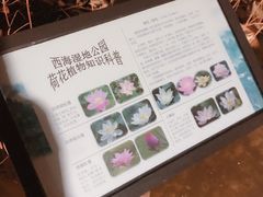 -孔乙己(后海店)