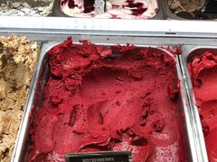 -Patagonia Chocolates(皇后镇店)
