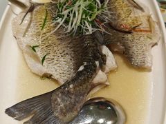 油盐蒸吊水鲩鱼-凤来茶餐·粤菜馆(珠江新城店)