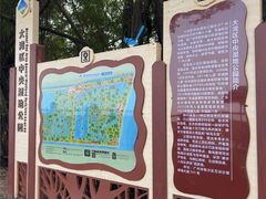 -大湾区中央湿地公园