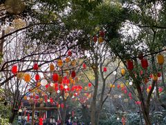 -天目湖山水园