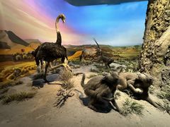 -国家自然博物馆