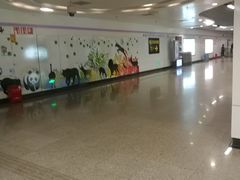 -上海动物园(地铁站)