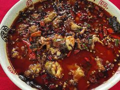 水煮牛蛙-蜀膳坊(洪公祠小区店)