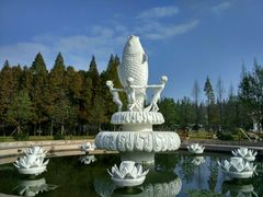 -水杉园