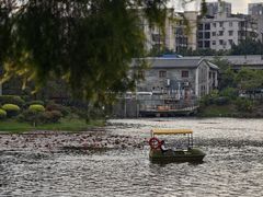 -荔湾湖公园