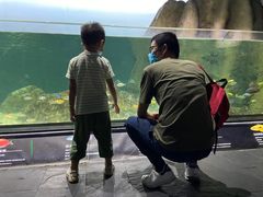 -江和美海洋公园