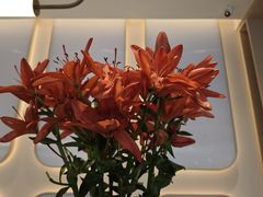 -锦江之星(广州海珠江泰路地铁站店)