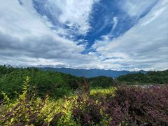 -梭布垭石林景区