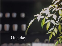 -野鸽子咖啡(航空路店)