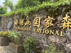 -四明山国家森林公园