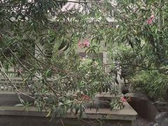 -环城公园-琥珀潭