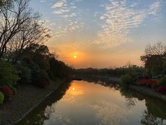 -上海海湾国家森林公园