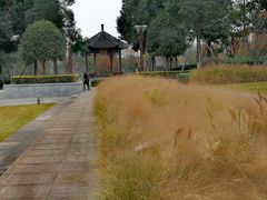 -眉山湿地公园(东坡区)