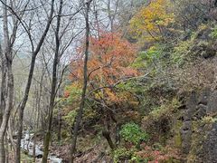 -玉渡山自然风景区