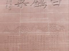 -白鹤梁水下博物馆