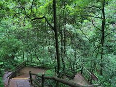 -碧峰峡风景区