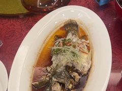 -小元国大酒店(环城东路店)