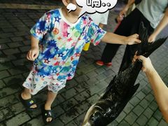 -全乐鱼馆·淳牌有机鱼直营店