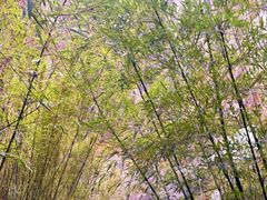 -卡定沟景区