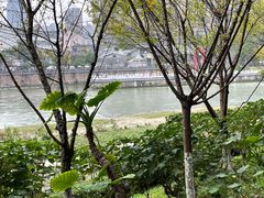 -望江楼公园