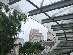 -花果园湿地公园