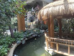 -南宫五洲植物乐园