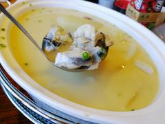 白汤河豚鱼-天正河鲀·河豚亭(大连店)