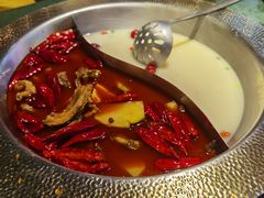 -麻田会 ·鲜活现烹·牛蛙火锅(珠江新城维家思广场店)