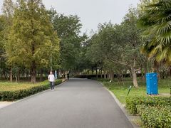 -白塘生态植物园