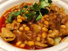 红烧肥肠煲-渝信川菜 · 川味家常菜(长安店)