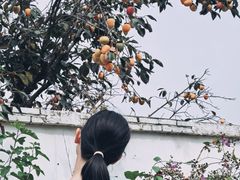 -辛庄国际文化艺术区