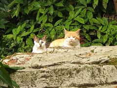 -狼山风景名胜区