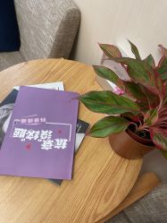 -叶美人医疗美容
