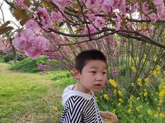 -云幽谷旅游区