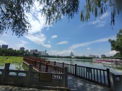 -莲花池公园