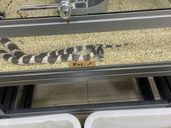 -三旗百汇商品城