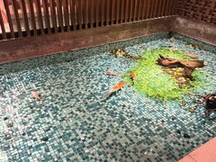-手佳·水疗汇(嘉益店)