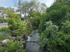 -羊山湖公园