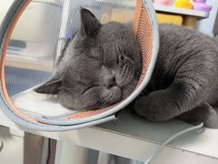 -王允海动物医院(中央大街店)