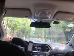 -鹿福农庄(南沙天后宫店)