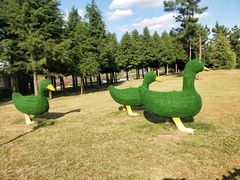 -羊亭河湿地公园