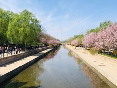 -元大都城垣遗址公园